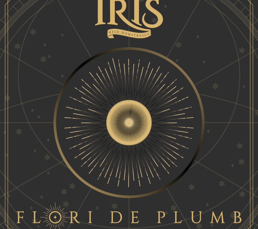 IRIS Nelu Dumitrescu a lansat single-ul Flori de Plumb - contemporary-establishment